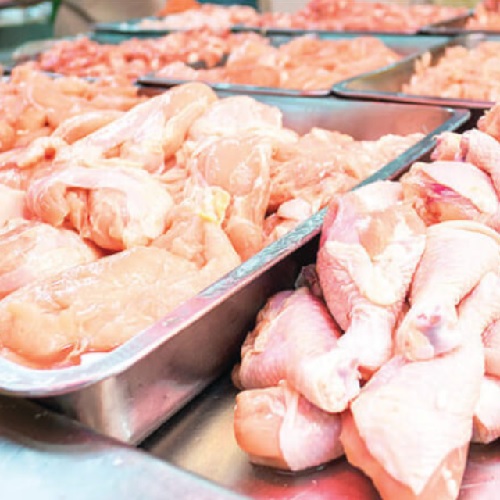 Frozen Foods