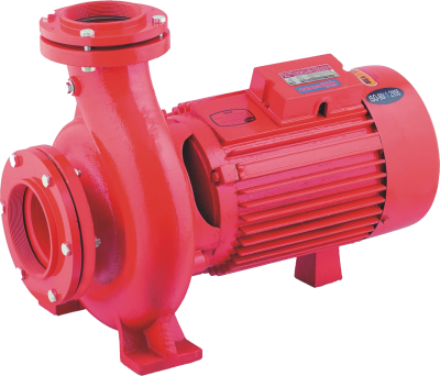 Sealion Mono Block 10Hp 5×4 Water Pump